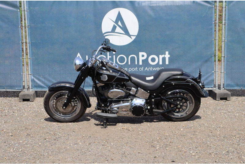 Harley-Davidson FLSTF - Motocykl: obrázek 2 Harley-Davidson FLSTF - Motocykl: obrázek 2