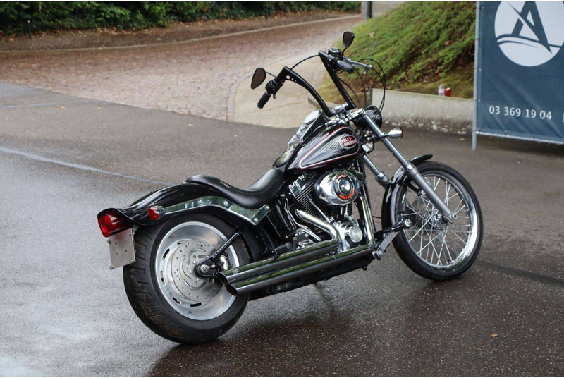 Harley-Davidson Softail Custom - Motocykl: obrázek 5 Harley-Davidson Softail Custom - Motocykl: obrázek 5