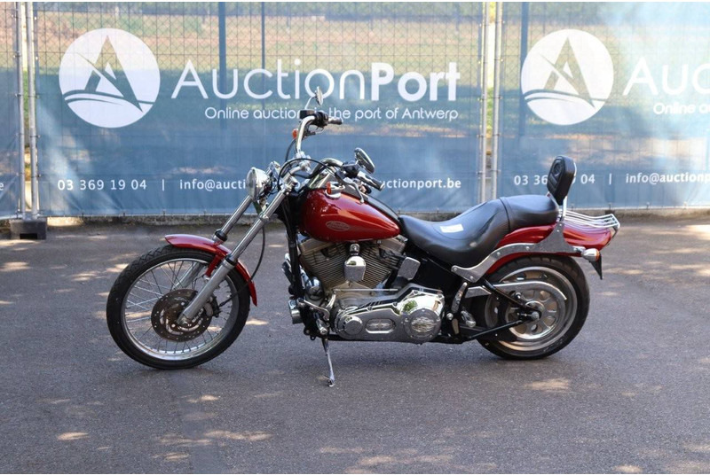 Harley-Davidson Softail Standard - Motocykl: obrázek 1 Harley-Davidson Softail Standard - Motocykl: obrázek 1