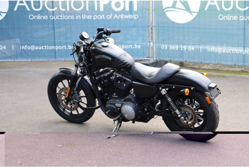 Harley-Davidson Sportster 883N Iron - Motocykl: obrázek 3 Harley-Davidson Sportster 883N Iron - Motocykl: obrázek 3