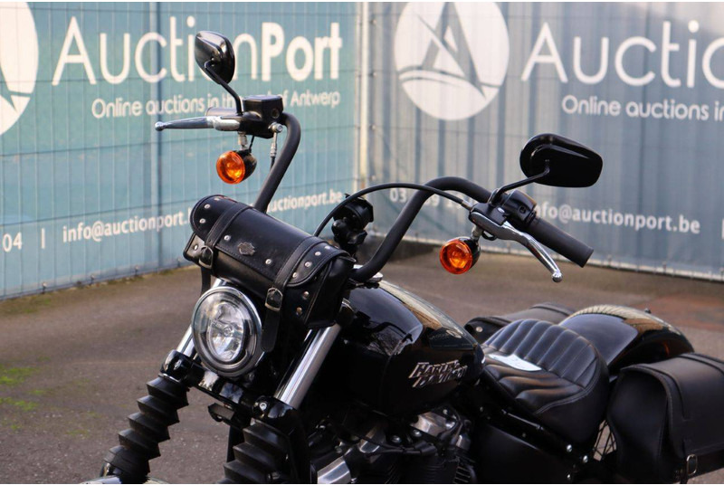 Motocykl Harley-Davidson Street Bob: obrázek 11 Motocykl Harley-Davidson Street Bob: obrázek 11