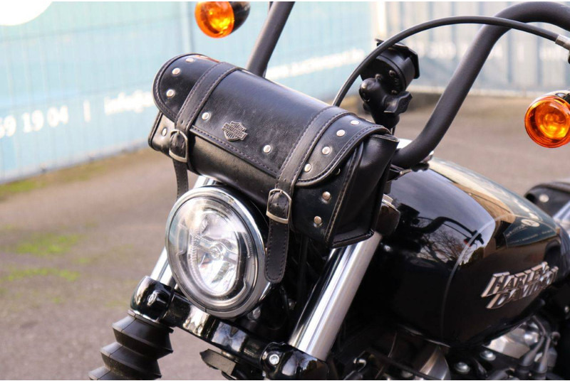 Motocykl Harley-Davidson Street Bob: obrázek 15 Motocykl Harley-Davidson Street Bob: obrázek 15