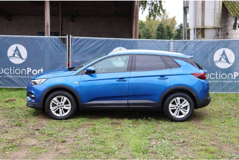 Opel Grandland X - Sedan: obrázek 2 Opel Grandland X - Sedan: obrázek 2