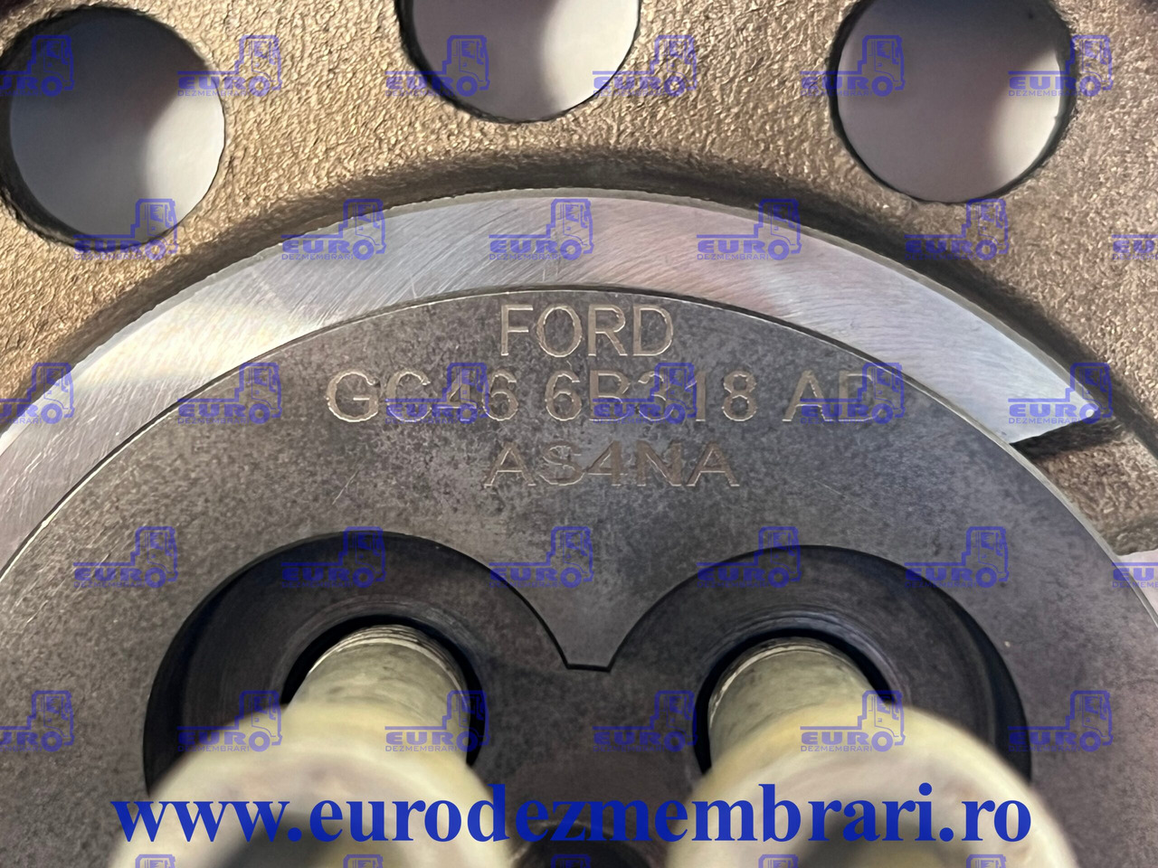 SET PINIOANE DISTRIBUTIE FORD CARGO F-MAX FHR6 GC466K264AD, GC466A259AD, GC466B318AD, GC466K254AG, GC469C418AE, GC466A362AE - Transmise pro Nákladní auto: obrázek 5 SET PINIOANE DISTRIBUTIE FORD CARGO F-MAX FHR6 GC466K264AD, GC466A259AD, GC466B318AD, GC466K254AG, GC469C418AE, GC466A362AE - Transmise pro Nákladní auto: obrázek 5