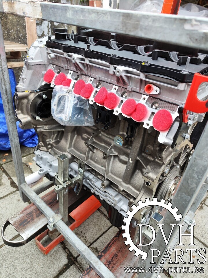 Ford RANGER QJ2R - QW2R - GBVAQJ - Motor pro Pick-up: obrázek 1 Ford RANGER QJ2R - QW2R - GBVAQJ - Motor pro Pick-up: obrázek 1