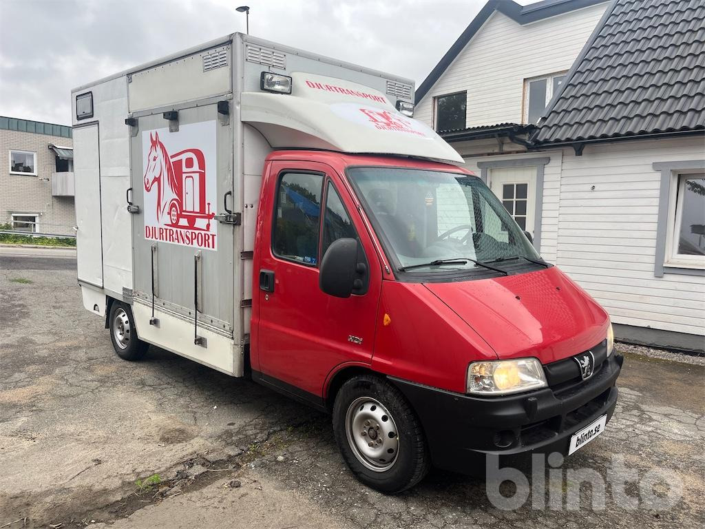 PEUGEOT BOXER CHA-CAB 35 - Auto na přepravu koní, Dodávka: obrázek 3 PEUGEOT BOXER CHA-CAB 35 - Auto na přepravu koní, Dodávka: obrázek 3